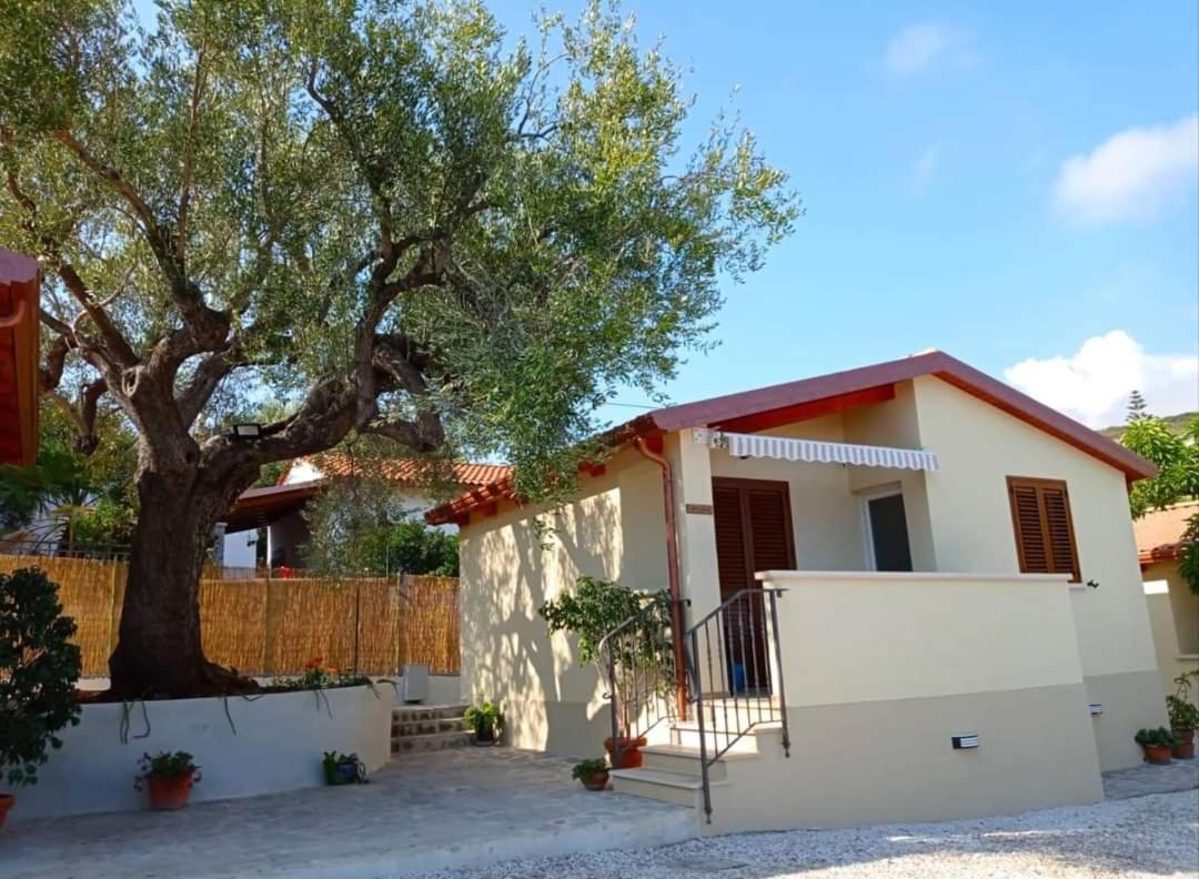 Case Vacanze La Quercia Marina di Camerota Eksteriør bilde