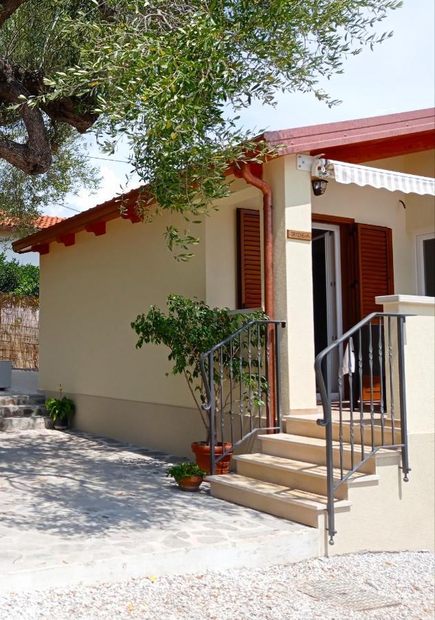 Case Vacanze La Quercia Marina di Camerota Eksteriør bilde