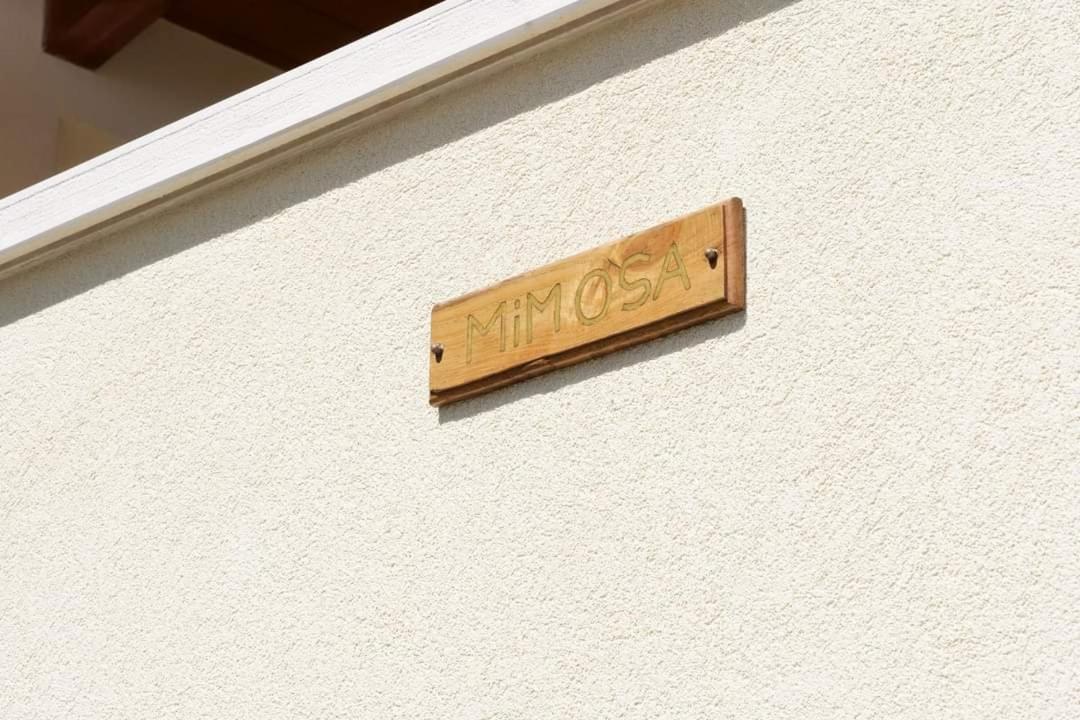 Case Vacanze La Quercia Marina di Camerota Eksteriør bilde