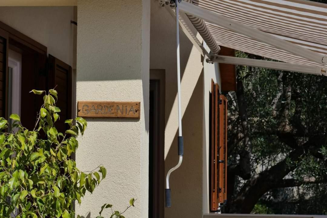 Case Vacanze La Quercia Marina di Camerota Eksteriør bilde