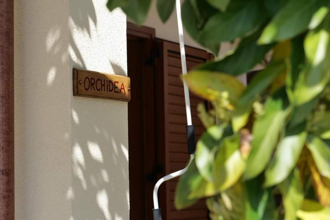 Case Vacanze La Quercia Marina di Camerota Eksteriør bilde