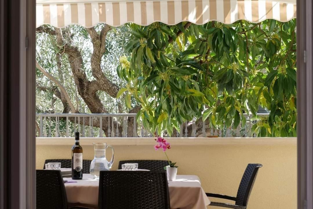 Case Vacanze La Quercia Marina di Camerota Eksteriør bilde